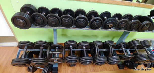 Vendo manubri in ghisa comprensivi di rastrelliera foto-20681