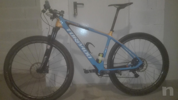 TORPADO RIBOT S FACTORY TEAM 2016 foto-40871