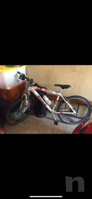 Bici Mountain bike Rambler XMR  foto-20980