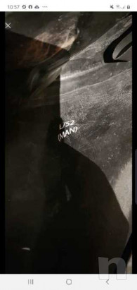 Muta stagna foto-21134