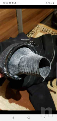 Muta stagna foto-41354