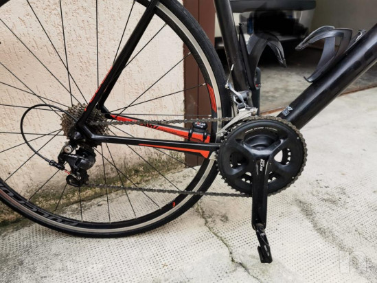 Vendo bici da corsa focus cayo 105 carbonio 11v foto-21161