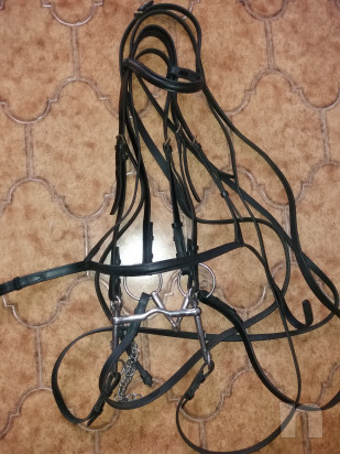 Attrezzatura equestre varia foto-41419