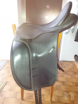 Attrezzatura equestre varia foto-41420