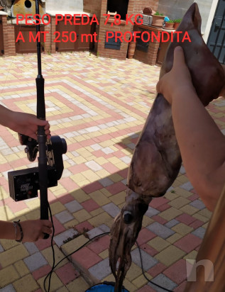 Mulinello elettrico artigianale versione EVO foto-41449