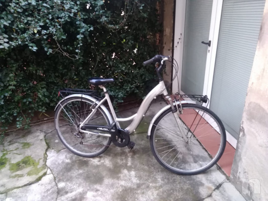 Biciclette uomo e donna  foto-21226