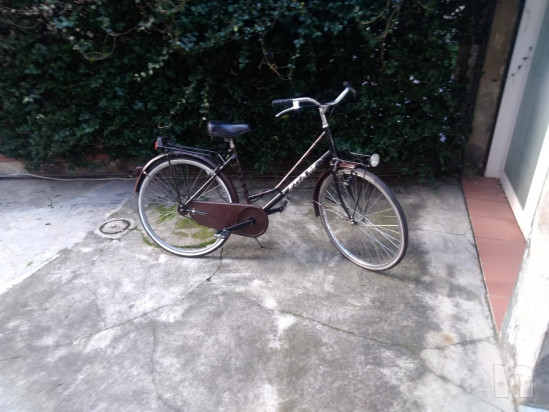 Biciclette uomo e donna  foto-41585