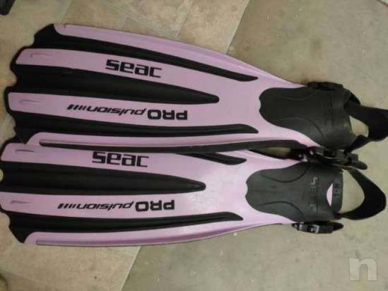 Pinne seac rosa foto-21351