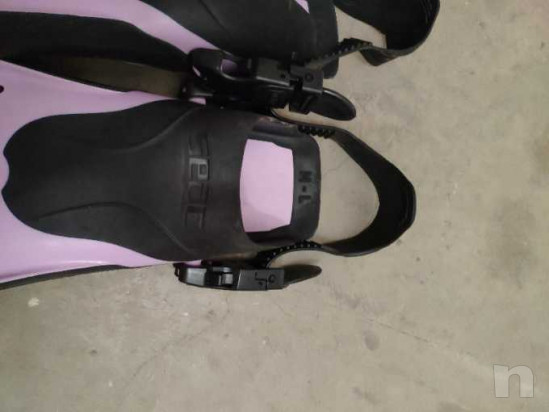 Pinne seac rosa foto-41871