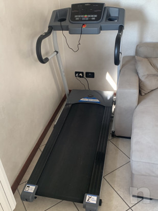 Tapirulan foto-41872