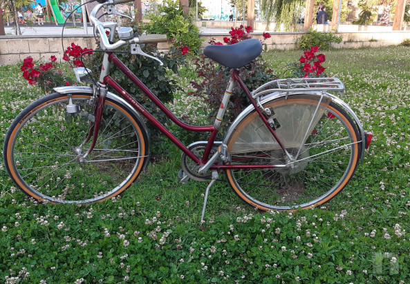 Vendo bici d epoca svizzere. Rarissime. Cambio a mozzo perfettamente funzionanti. foto-41958