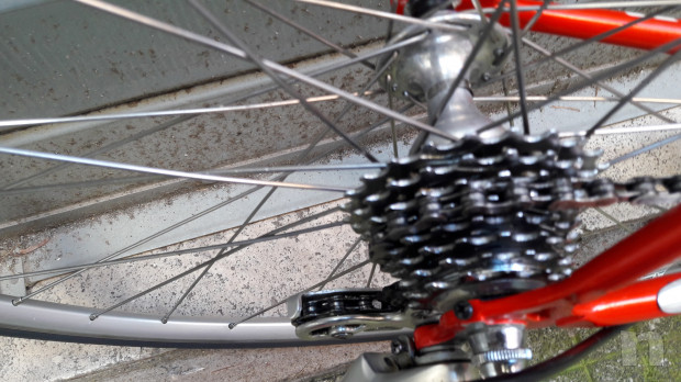 Viner proteam del 1997 telaio columbus genius  foto-42607