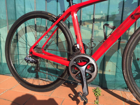 TREK DOMANE SRL foto-42622