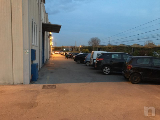 Palestra in Salerno foto-42672