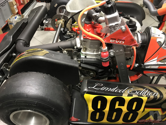 Go kart intrepid mini rotax evo micro foto-42843
