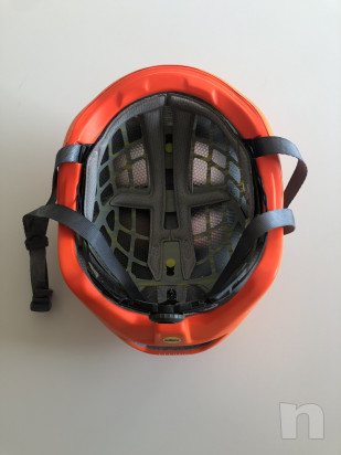 Casco Smith Overtake con mips foto-42862