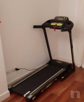 Tapirulant  foto-21916