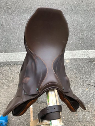 Sella Stubben Siegfried foto-43141