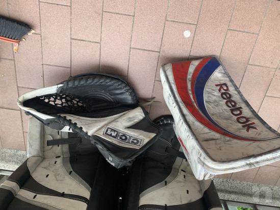 Scudo e pinza  foto-22078