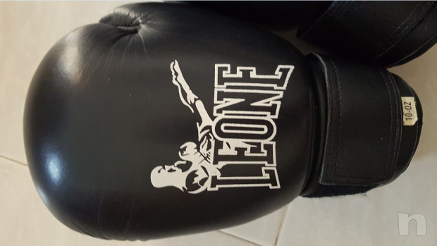Guantoni Kick-Boxing LEONE 10 OZ foto-43429