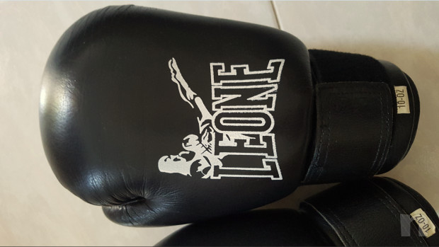 Guantoni Kick-Boxing LEONE 10 OZ foto-43430