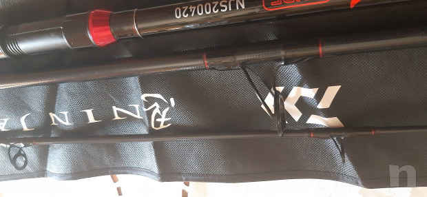 Canna da pesca DAIWA NINJA  foto-22191