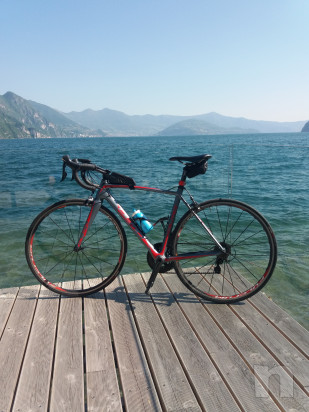 Olmo Link Pro  foto-22233