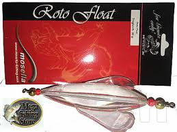 Pesca Al Siluro foto-43769