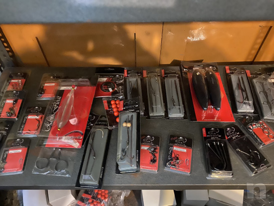 Pesca Al Siluro foto-22275