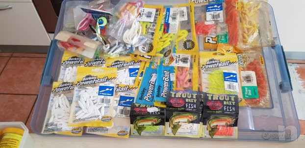 causa cambio tipo di pesca foto-43911