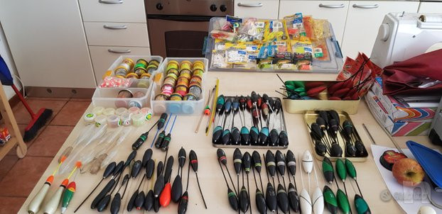 causa cambio tipo di pesca foto-22342