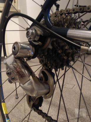 Splendida Olmo anni 90. foto-43958