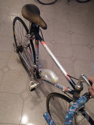 Splendida Olmo anni 90. foto-22363