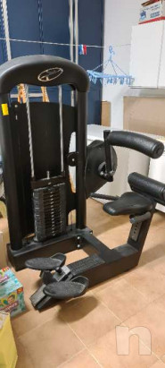 Lower back machine foto-22375