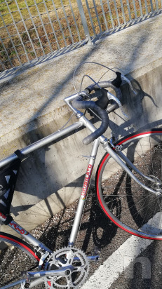 Giubilato foto-44015