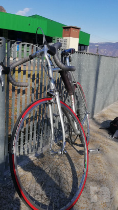 Giubilato foto-44013