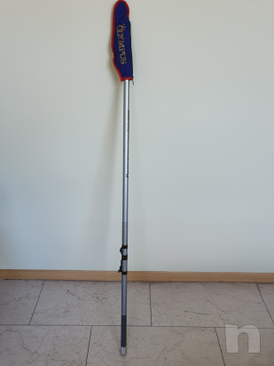 Canna Colmic Bolognese foto-22517