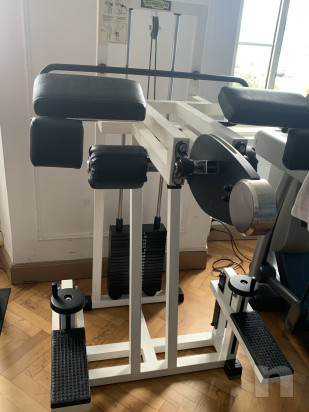 Standing Gluteus  foto-22546