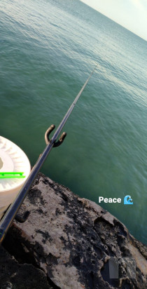 Maver passion bolo2020 6mt  mulo Shimano sienna 1000 foto-22582