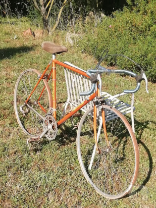 Bicicletta d’epoca artigianale foto-44485