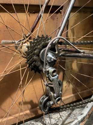 Eroica - Bici Frejus del 1955 rigenerata con pezzi originali foto-44667