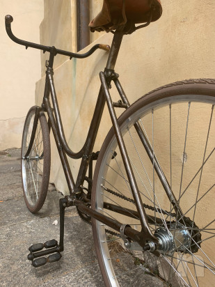 Ganna anni '20 donna, 100 anni e non sentirli foto-44673