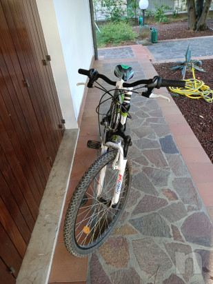 Mountain bike Vicini Android foto-44805