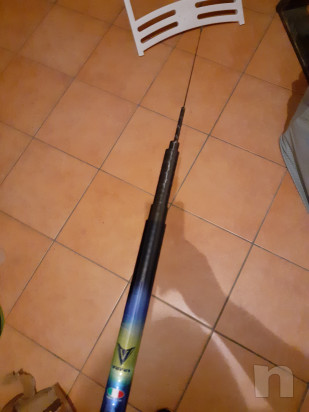 Canna Veret 6mt e Guadino Julia. foto-44806