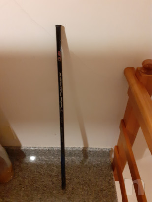 Canna Veret 6mt e Guadino Julia. foto-44808