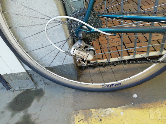 Olmo acciaio Columbus  foto-45003