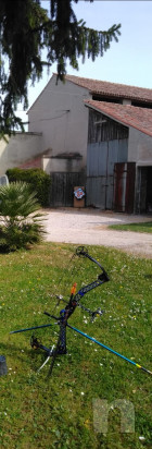 Arco compound mattews foto-22877