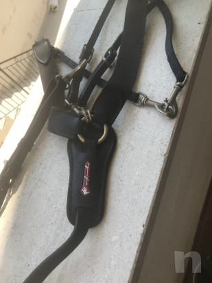 Equipe Pettorale  foto-45361