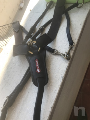 Equipe Pettorale  foto-22967