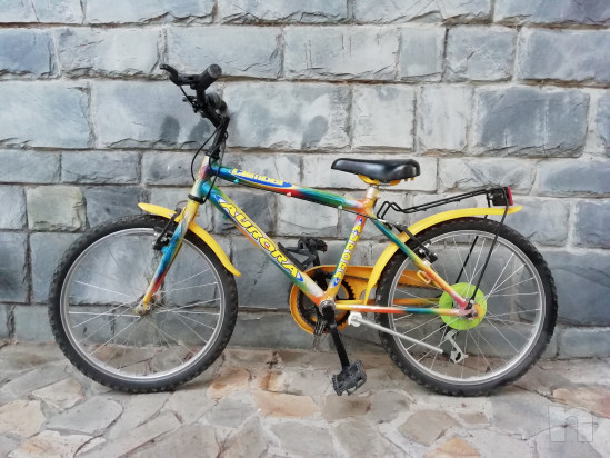 Mtb bambino 20